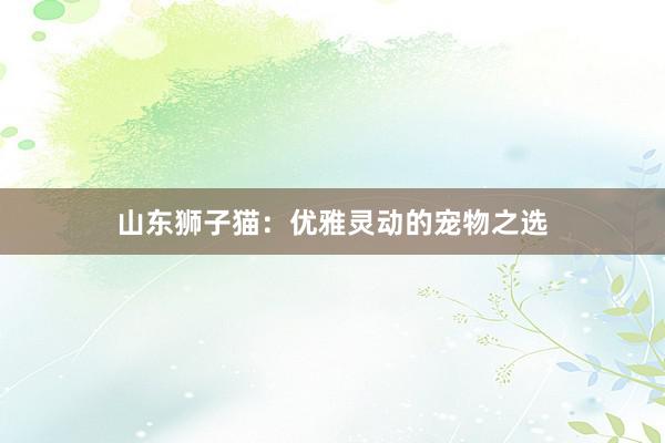 山东狮子猫：优雅灵动的宠物之选