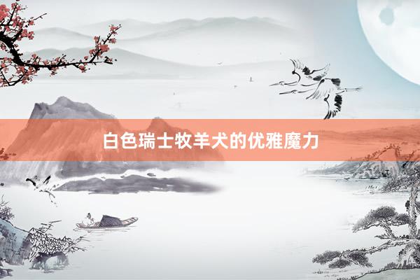 白色瑞士牧羊犬的优雅魔力